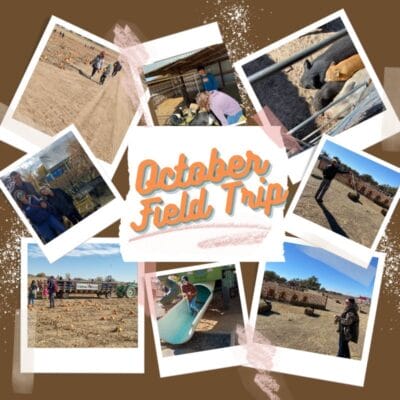 діти, тварини, гарбузи на жовтневій екскурсії