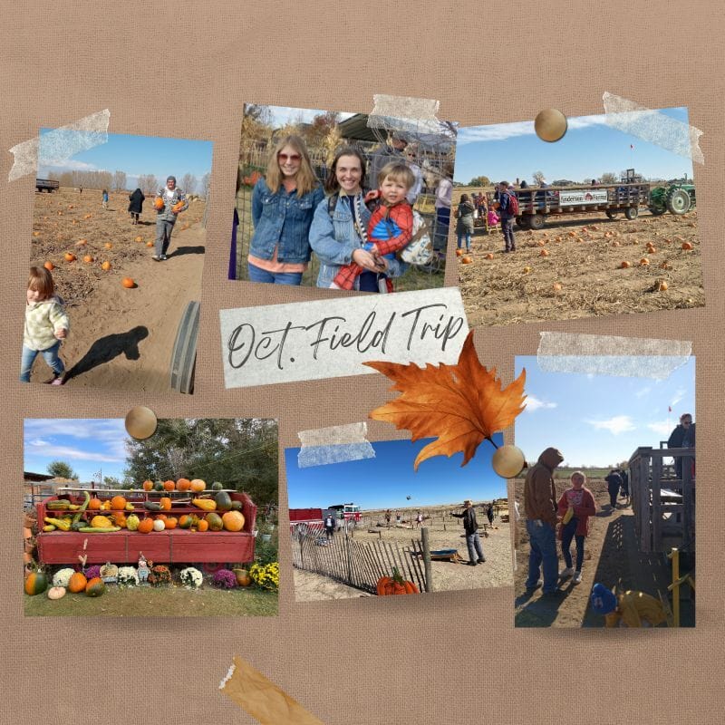 гарбузове поле, діти, мами на жовтневій екскурсії